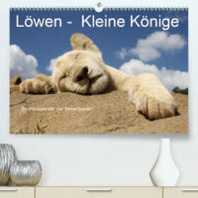 Sander | Löwen - Kleine Könige(Premium, hochwertiger DIN A2 Wandkalender 2020, Kunstdruck in Hochglanz) | Sonstiges | 978-3-671-26786-6 | sack.de