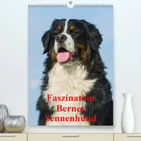 Starick |  Faszination Berner Sennenhund(Premium, hochwertiger DIN A2 Wandkalender 2020, Kunstdruck in Hochglanz) | Sonstiges |  Sack Fachmedien
