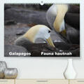 Krause |  Galapagos. Fauna hautnah(Premium, hochwertiger DIN A2 Wandkalender 2020, Kunstdruck in Hochglanz) | Sonstiges |  Sack Fachmedien