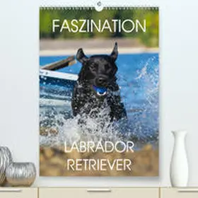 Starick |  Faszination Labrador Retriever(Premium, hochwertiger DIN A2 Wandkalender 2020, Kunstdruck in Hochglanz) | Sonstiges |  Sack Fachmedien