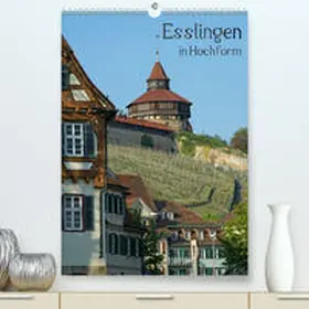 Weber |  Esslingen in Hochform(Premium, hochwertiger DIN A2 Wandkalender 2020, Kunstdruck in Hochglanz) | Sonstiges |  Sack Fachmedien
