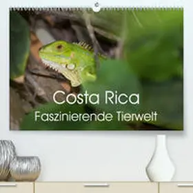 Gerber |  Costa Rica. Faszinierende Tierwelt(Premium, hochwertiger DIN A2 Wandkalender 2020, Kunstdruck in Hochglanz) | Sonstiges |  Sack Fachmedien