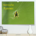 Schäfer |  Heimische Spinnen(Premium, hochwertiger DIN A2 Wandkalender 2020, Kunstdruck in Hochglanz) | Sonstiges |  Sack Fachmedien