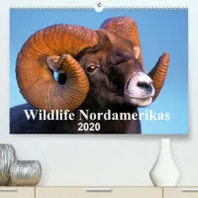 KOPFLE |  Wildlife Nordamerikas 2020(Premium, hochwertiger DIN A2 Wandkalender 2020, Kunstdruck in Hochglanz) | Sonstiges |  Sack Fachmedien
