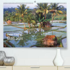 Fischer |  Peter Fischer - Bali 2020(Premium, hochwertiger DIN A2 Wandkalender 2020, Kunstdruck in Hochglanz) | Sonstiges |  Sack Fachmedien