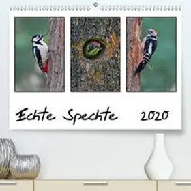 Wolf |  Echte Spechte(Premium, hochwertiger DIN A2 Wandkalender 2020, Kunstdruck in Hochglanz) | Sonstiges |  Sack Fachmedien