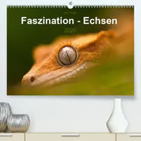 Hilger |  Faszination - Echsen(Premium, hochwertiger DIN A2 Wandkalender 2020, Kunstdruck in Hochglanz) | Sonstiges |  Sack Fachmedien