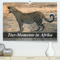 Janssen |  Tier-Momente in Afrika(Premium, hochwertiger DIN A2 Wandkalender 2020, Kunstdruck in Hochglanz) | Sonstiges |  Sack Fachmedien