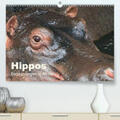 Herzog |  Hippos - Begegnungen in Afrika(Premium, hochwertiger DIN A2 Wandkalender 2020, Kunstdruck in Hochglanz) | Sonstiges |  Sack Fachmedien