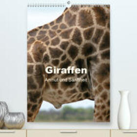 Herzog | Giraffen - Anmut und Sanftheit(Premium, hochwertiger DIN A2 Wandkalender 2020, Kunstdruck in Hochglanz) | Sonstiges | 978-3-671-28747-5 | sack.de