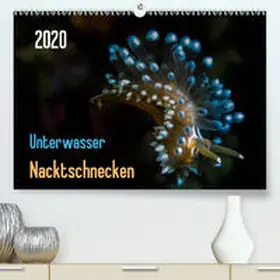 Weber-Gebert |  Unterwasser - Nacktschnecken  2020(Premium, hochwertiger DIN A2 Wandkalender 2020, Kunstdruck in Hochglanz) | Sonstiges |  Sack Fachmedien
