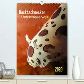 Weber-Gebert |  Nacktschnecken - Unterwasserwelt 2020(Premium, hochwertiger DIN A2 Wandkalender 2020, Kunstdruck in Hochglanz) | Sonstiges |  Sack Fachmedien