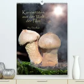 Schmidbauer |  Kuriositäten aus der Welt der Pilze(Premium, hochwertiger DIN A2 Wandkalender 2020, Kunstdruck in Hochglanz) | Sonstiges |  Sack Fachmedien