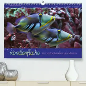 Schmidbauer |  Korallenfische im Lichtschimmer des Meeres(Premium, hochwertiger DIN A2 Wandkalender 2020, Kunstdruck in Hochglanz) | Sonstiges |  Sack Fachmedien