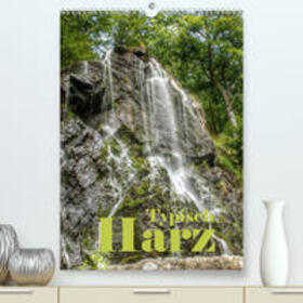 Weiß |  Typisch Harz(Premium, hochwertiger DIN A2 Wandkalender 2020, Kunstdruck in Hochglanz) | Sonstiges |  Sack Fachmedien