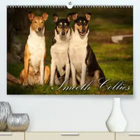 Längsfeld |  Smooth Collies(Premium, hochwertiger DIN A2 Wandkalender 2020, Kunstdruck in Hochglanz) | Sonstiges |  Sack Fachmedien