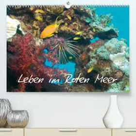 Eberschulz |  Leben im Roten Meer(Premium, hochwertiger DIN A2 Wandkalender 2020, Kunstdruck in Hochglanz) | Sonstiges |  Sack Fachmedien