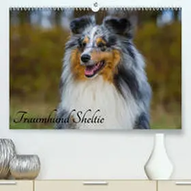 Starick |  Traumhund Sheltie(Premium, hochwertiger DIN A2 Wandkalender 2020, Kunstdruck in Hochglanz) | Sonstiges |  Sack Fachmedien
