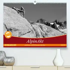 Bichler |  AlpinAkt(Premium, hochwertiger DIN A2 Wandkalender 2020, Kunstdruck in Hochglanz) | Sonstiges |  Sack Fachmedien