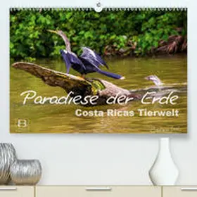 Busch |  Paradiese der Erde: Costa Ricas Tierwelt(Premium, hochwertiger DIN A2 Wandkalender 2020, Kunstdruck in Hochglanz) | Sonstiges |  Sack Fachmedien