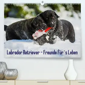 Starick |  Labrador Retriever - Freunde für´s Leben(Premium, hochwertiger DIN A2 Wandkalender 2020, Kunstdruck in Hochglanz) | Sonstiges |  Sack Fachmedien