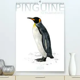 Spangenberg |  Pinguine - 13 Illustrationen(Premium, hochwertiger DIN A2 Wandkalender 2020, Kunstdruck in Hochglanz) | Sonstiges |  Sack Fachmedien