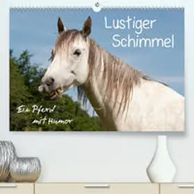 Bölts |  Lustiger Schimmel - ein Pferd mit Humor(Premium, hochwertiger DIN A2 Wandkalender 2020, Kunstdruck in Hochglanz) | Sonstiges |  Sack Fachmedien