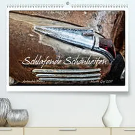 Graf |  Schlafende Schönheiten - Automobile Patina(Premium, hochwertiger DIN A2 Wandkalender 2020, Kunstdruck in Hochglanz) | Sonstiges |  Sack Fachmedien