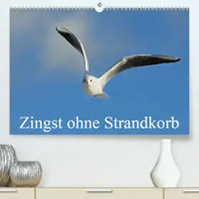 Starick |  Zingst ohne Strandkorb(Premium, hochwertiger DIN A2 Wandkalender 2020, Kunstdruck in Hochglanz) | Sonstiges |  Sack Fachmedien