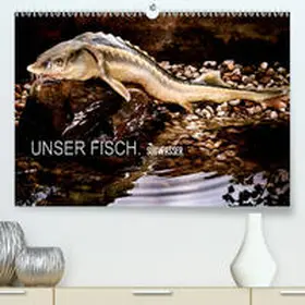 morgenstern |  UNSER FISCH. SÜßWASSER.(Premium, hochwertiger DIN A2 Wandkalender 2020, Kunstdruck in Hochglanz) | Sonstiges |  Sack Fachmedien