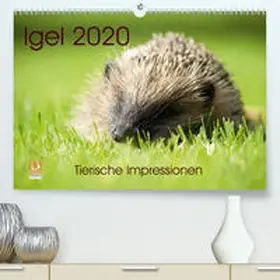 Lehmann (Hrsg.) |  Igel 2020. Tierische Impressionen (Premium-Kalender 2020 DIN A2 quer) | Sonstiges |  Sack Fachmedien