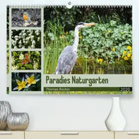 Becker |  Paradies Naturgarten(Premium, hochwertiger DIN A2 Wandkalender 2020, Kunstdruck in Hochglanz) | Sonstiges |  Sack Fachmedien