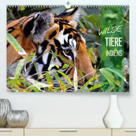 Bergermann |  Wilde Tiere Indiens(Premium, hochwertiger DIN A2 Wandkalender 2020, Kunstdruck in Hochglanz) | Sonstiges |  Sack Fachmedien