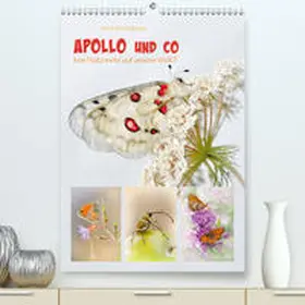 Schmidbauer |  APOLLO UND CO(Premium, hochwertiger DIN A2 Wandkalender 2020, Kunstdruck in Hochglanz) | Sonstiges |  Sack Fachmedien