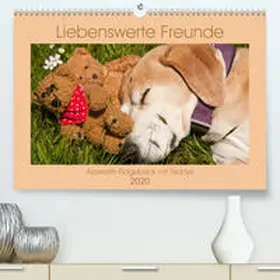 Bölts |  Liebenswerte Freunde - Azawakh-Ridgeback mit Teddys(Premium, hochwertiger DIN A2 Wandkalender 2020, Kunstdruck in Hochglanz) | Sonstiges |  Sack Fachmedien