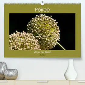 Bölts |  Porree - Magie der Blüten(Premium, hochwertiger DIN A2 Wandkalender 2020, Kunstdruck in Hochglanz) | Sonstiges |  Sack Fachmedien