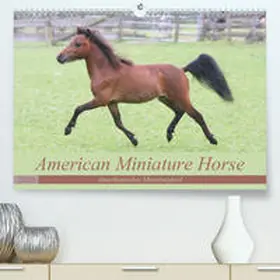 Mielewczyk |  American Miniature Horse(Premium, hochwertiger DIN A2 Wandkalender 2020, Kunstdruck in Hochglanz) | Sonstiges |  Sack Fachmedien