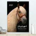 Heüveldop |  StudioArt Pferderassen im Porträt(Premium, hochwertiger DIN A2 Wandkalender 2020, Kunstdruck in Hochglanz) | Sonstiges |  Sack Fachmedien