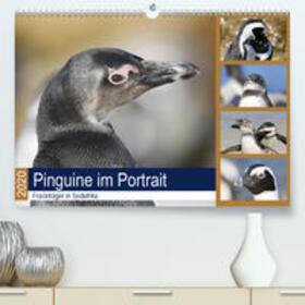 und Yvonne Herzog | Pinguine im Portrait - Frackträger in Südafrika(Premium, hochwertiger DIN A2 Wandkalender 2020, Kunstdruck in Hochglanz) | Sonstiges | 978-3-671-33986-0 | sack.de