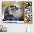 und Yvonne Herzog / Herzog |  Pinguine im Portrait - Frackträger in Südafrika(Premium, hochwertiger DIN A2 Wandkalender 2020, Kunstdruck in Hochglanz) | Sonstiges |  Sack Fachmedien