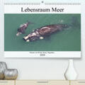 und Yvonne Herzog / Herzog |  Lebensraum Meer - Heimat von Walen, Haien, Pinguinen...(Premium, hochwertiger DIN A2 Wandkalender 2020, Kunstdruck in Hochglanz) | Sonstiges |  Sack Fachmedien