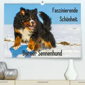 Starick |  Faszinierende Schönheit Berner Sennenhund(Premium, hochwertiger DIN A2 Wandkalender 2020, Kunstdruck in Hochglanz) | Sonstiges |  Sack Fachmedien