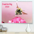 Schmidt |  Insektenflug 2020(Premium, hochwertiger DIN A2 Wandkalender 2020, Kunstdruck in Hochglanz) | Sonstiges |  Sack Fachmedien