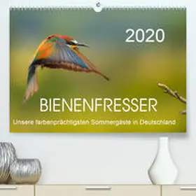 Will |  Bienenfresser, unsere farbenprächtigsten Sommergäste in Deutschland(Premium, hochwertiger DIN A2 Wandkalender 2020, Kunstdruck in Hochglanz) | Sonstiges |  Sack Fachmedien