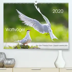 Will |  Wattvögel an der Friesischen IJsselmeerküste(Premium, hochwertiger DIN A2 Wandkalender 2020, Kunstdruck in Hochglanz) | Sonstiges |  Sack Fachmedien