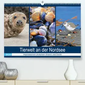 Lehmann (Hrsg.) |  Tierwelt an der Nordsee 2020 (Premium-Kalender 2020 DIN A2 quer) | Sonstiges |  Sack Fachmedien