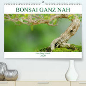 Schmidt | Bonsai ganz nah(Premium, hochwertiger DIN A2 Wandkalender 2020, Kunstdruck in Hochglanz) | Sonstiges | 978-3-671-34456-7 | sack.de