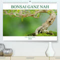 Schmidt |  Bonsai ganz nah(Premium, hochwertiger DIN A2 Wandkalender 2020, Kunstdruck in Hochglanz) | Sonstiges |  Sack Fachmedien