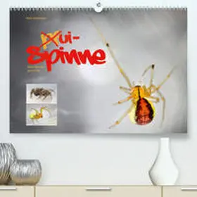 Schmidbauer |  ui - Spinne. Kleine Spinnen - groß im Bild(Premium, hochwertiger DIN A2 Wandkalender 2020, Kunstdruck in Hochglanz) | Sonstiges |  Sack Fachmedien