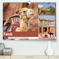 Herzog |  Kamele - Die freundlichen Gepäckträger(Premium, hochwertiger DIN A2 Wandkalender 2020, Kunstdruck in Hochglanz) | Sonstiges |  Sack Fachmedien